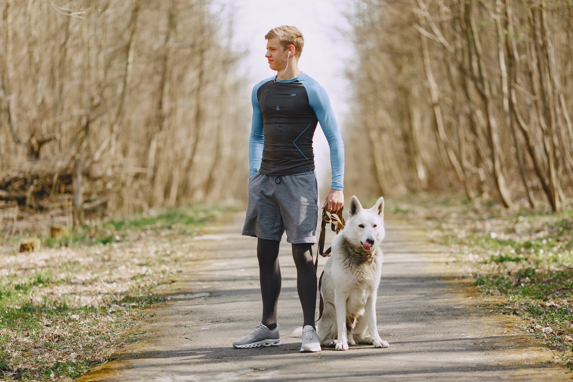 confident man using earbuds while walking with dog in park in spring