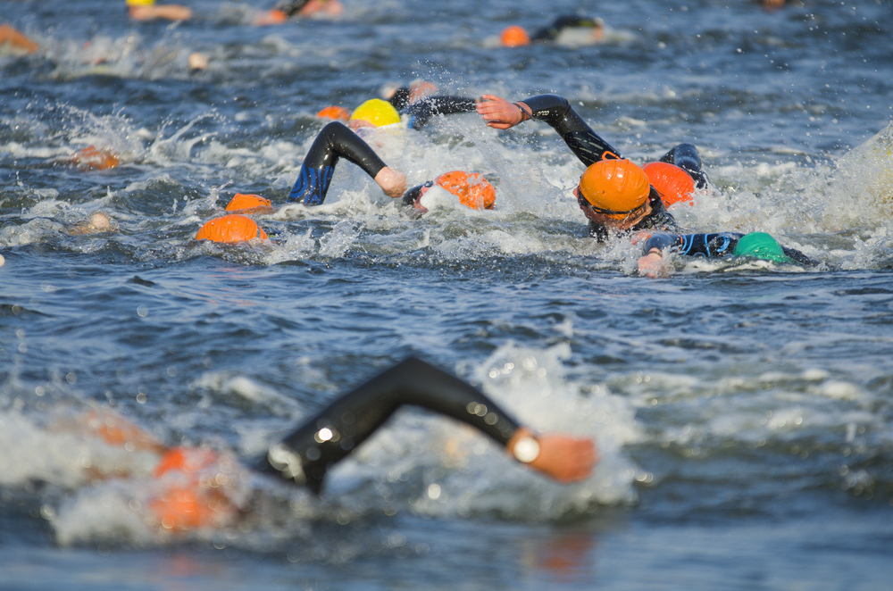 Natation