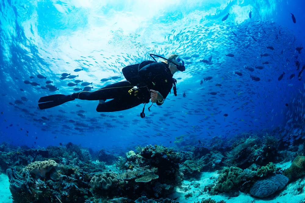 Plongée sous-marine